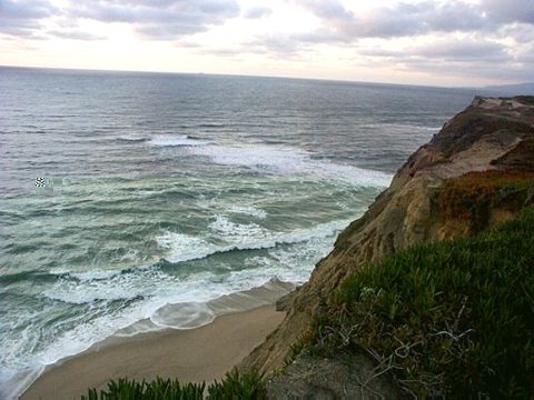 Sea Cliff 1