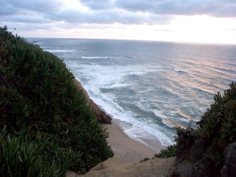 Sea Cliff 2