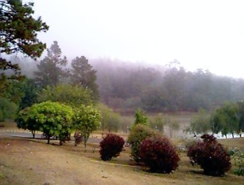 Aurora Park 1