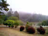 Aurora Park 1