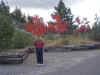 Rest Area at Lakeridge 6