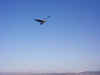 Flying!