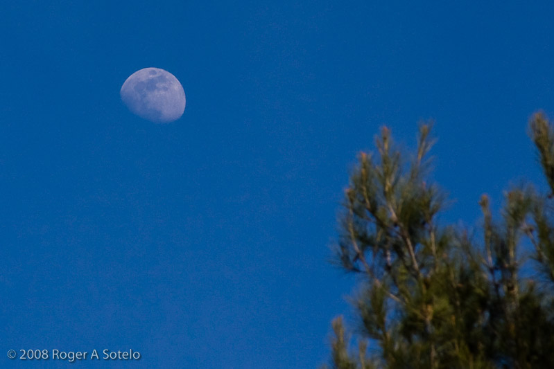 Moon rising on a cloudless afternoon in San Jose, California
