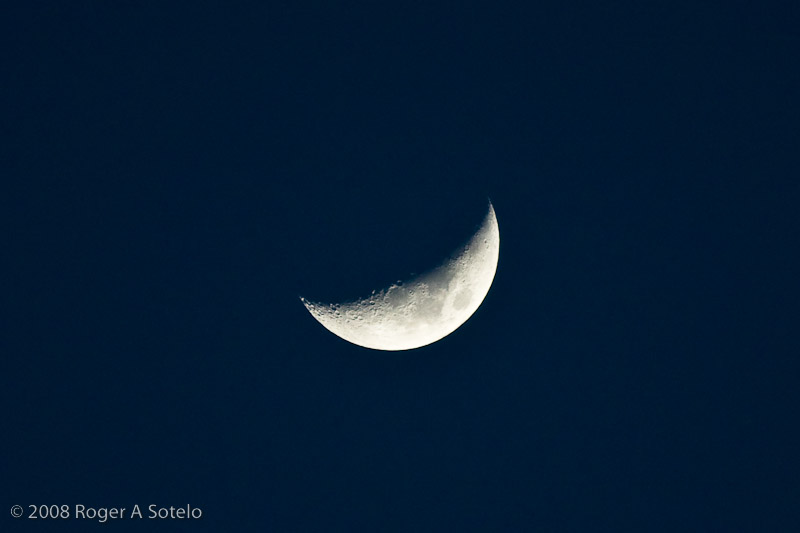 Crescent Moon at dusk