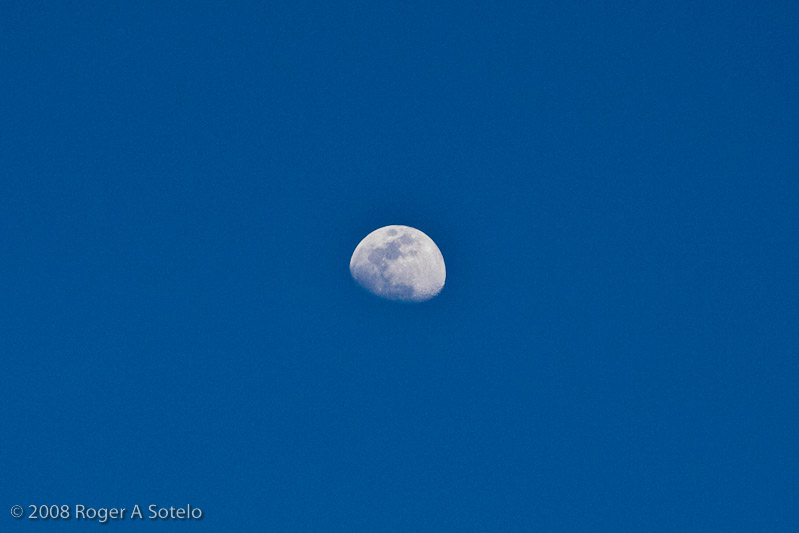 Moon rising on a cloudless afternoon in San Jose, California