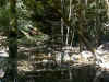 Saratoga Springs Park
