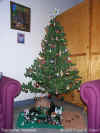 Picture of The Month Archives (January 2001)