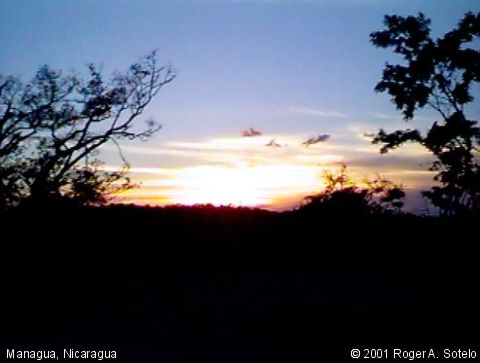 Picture of The Month Archives (July 2001)