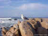 Picture of The Month Archives (April 2002)