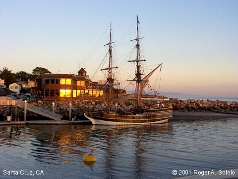 Picture of The Month Archives (February 2002)