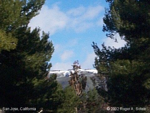 Picture of The Month Archives (June 2002)