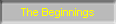 The Beginnings